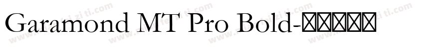 Garamond MT Pro Bold字体转换